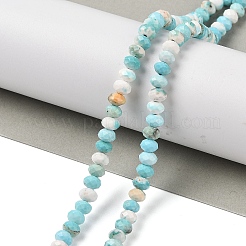 Natural Howlite Beads Strands&nbsp;G-H025-03D-09