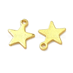 Alloy Pendants&nbsp;PALLOY-F321-01B-G
