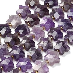 Natural Amethyst Beads Strands&nbsp;G-L657-A08-01