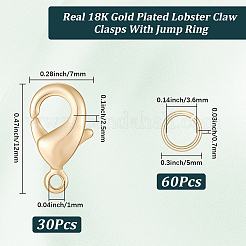 Brass Lobster Claw Clasps&nbsp;KK-BBC0024-54G
