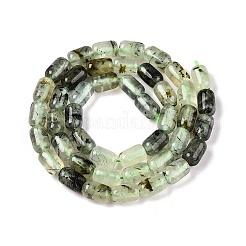 Natural Prehnite Beads Strands&nbsp;G-G980-45