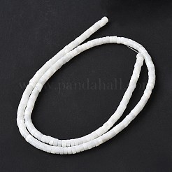 Natural Freshwater Shell Beads Strands&nbsp;SSHEL-C013-04B