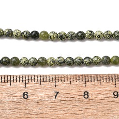 Natural Serpentine/Green Lace Stone Beads Strands&nbsp;G-Z116-A16-3mm