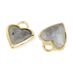 Natural Labradorite Faceted Pendants&nbsp;G-Z154-01G-07