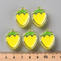 Transparent Enamel Acrylic Beads&nbsp;X1-TACR-S155-003H