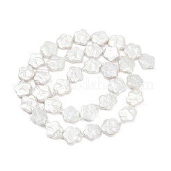 Electroplate Shell Pearl Beads Strands&nbsp;BSHE-Z009-07-01