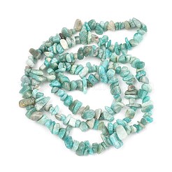 Natural Amazonite Beads Strands&nbsp;G-K409-A01-01
