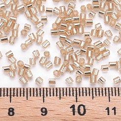 Glass Bugle Beads&nbsp;SEED-S032-08A-39A