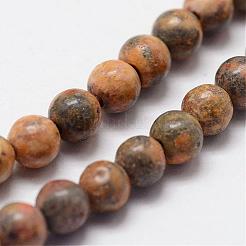 Natural Leopard Skin Jasper Beads Strands&nbsp;G-N0181-02-4mm