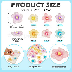 30Pcs 6 Colors Transparent Resin Cabochons&nbsp;RESI-TA0004-45