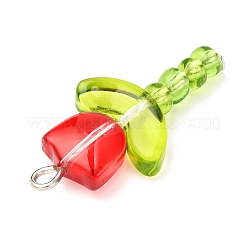 5Pcs 5 Colors Transparent Lampwork Pendants&nbsp;PALLOY-JF04462-02