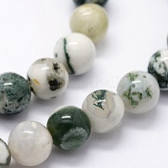 Natural Tree Agate Beads Strands&nbsp;G-I199-03-10mm
