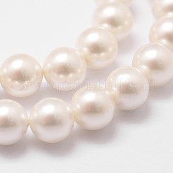 Shell Pearl Bead Strands&nbsp;BSHE-L026-03-6mm
