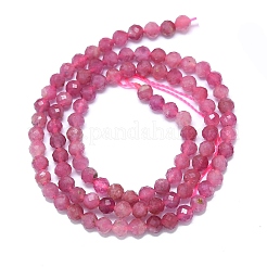 Natural Tourmaline Beads Strands&nbsp;G-G106-C02-03