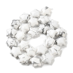 Natural Howlite Beads Strands&nbsp;G-NH0005-006
