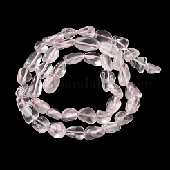Natural Rose Quartz Beads Strands&nbsp;G-L638-A01-01