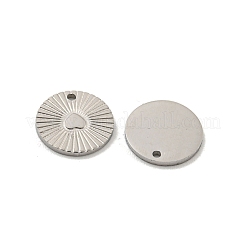 Non-Tarnish 304 Stainless Steel Charms&nbsp;STAS-P356-10P