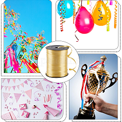 Plastic Ribbon&nbsp;KY-WH20071-001A