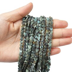 Natural African Turquoise(Jasper) Beads Strands&nbsp;G-A272-A01-06