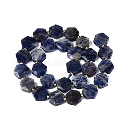 Natural Sodalite Beads Strands&nbsp;G-N368-01A-04