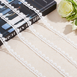 Polyester Lace Trims&nbsp;OCOR-WH0068-69