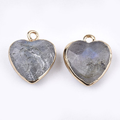 Electroplate Natural Labradorite Pendants&nbsp;G-T112-03A
