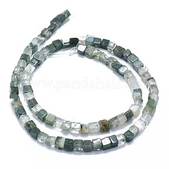 Natural Moss Agate Beads Strands&nbsp;G-F631-C01