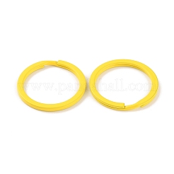 Spray-painted Iron Keychains Clasps&nbsp;IFIN-WH0063-13G