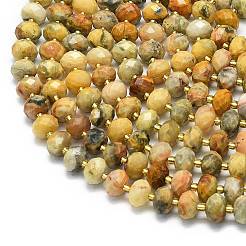 Natural Yellow Crazy Agate Beads Strands&nbsp;G-P573-A20-01
