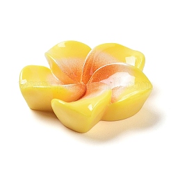 Opaque Resin Cabochons&nbsp;RESI-G068-02G