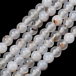 Natural Dendritic Agate Beads Strands&nbsp;G-D0005-18-6mm