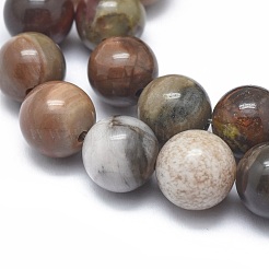 Natural Petrified Wood Beads Strands&nbsp;G-I254-07B
