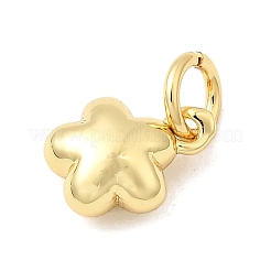 Brass Pendants&nbsp;KK-I364-23G