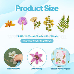 4 Bags 4 Styles Plant PET Adhesive Waterproof Stickers&nbsp;DIY-TA0009-84
