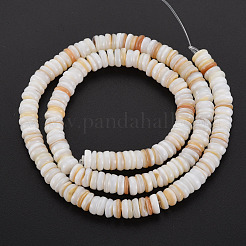 Natural Freshwater Shell Beads Strands&nbsp;SHEL-T018-31