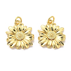 Rack Plating Brass Pendants&nbsp;KK-D026-11G