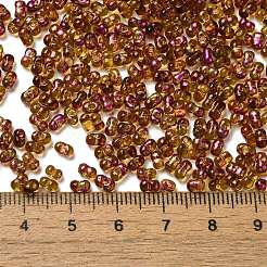 Spray Painted Glass Seed Beads&nbsp;SEED-F005-03A-03