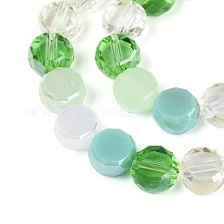 Electroplate Glass Beads Strands&nbsp;EGLA-N022-03A-A06