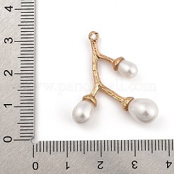 Zinc Alloy Pendants&nbsp;PALLOY-D311-03KCG