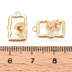 Brass Pendants&nbsp;KK-N267-11G