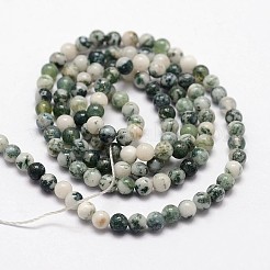 Natural Tree Agate Beads Strands&nbsp;X-G-N0192-01-3mm