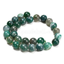 Natural Dragon Veins Agate Beads Strands&nbsp;GG-L001-L01-01E