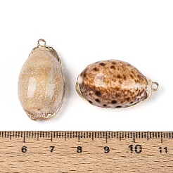 Electroplate Natural Sea Shell Pendants&nbsp;SSHEL-T018-05