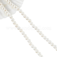 Glass Pearl Beads Strands&nbsp;SHEL-WH0001-009A-1