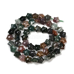 Natural Indian Agate Beads Strands&nbsp;G-Z080-A17-8mm