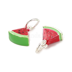 Alloy Enamel Charms&nbsp;ENAM-I080-02S-02