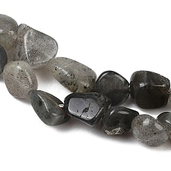 Natural Labradorite Beads Strands&nbsp;G-Q060-E20-02
