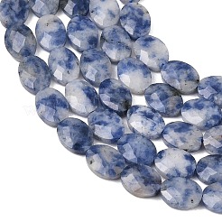 Natural Blue Spot Jasper Beads Strands&nbsp;G-H349-A01-06