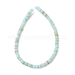 Dyed Natural Freshwater Shell Beads Strands&nbsp;SH-CBA2978-05C
