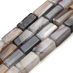 Natural Agate Beads Strands&nbsp;G-F820-G01-01